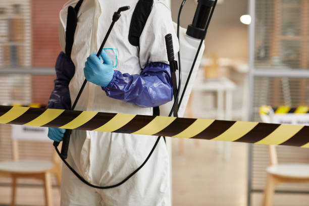 Professional Sewage Cleanup technician working in Sterling, CO