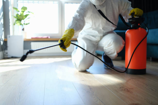 Reliable Sewage Cleanup contractor in Sterling, CO by Trauma Clean Pros